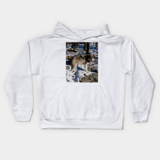 Gray Wolves Kids Hoodie